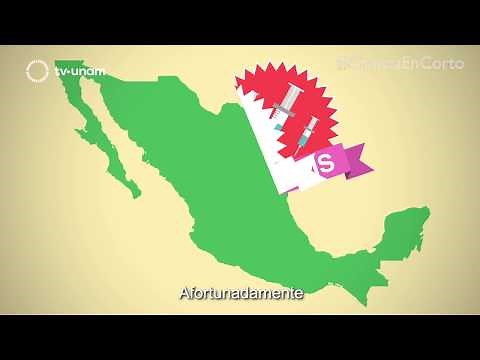 LA IMPORTANCIA DE LAS VACUNAS