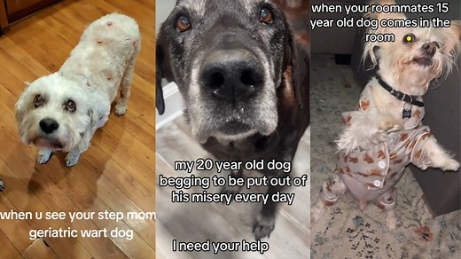 Excuse Me, I Need Your Help. You Need To Kill Me | Know Your Meme