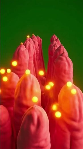 What Happens Inside Your Body When You Eat Orange? 🍊 | 3D Medical Animation