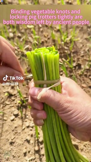 #Handmade #Knot #Knot Tips #Easy-to-learn Knot #Practical Knot #Life Tips #Life Helper #Knot Tips #Rope Tie #TikTok Assistant #Hot #Experience Sharing