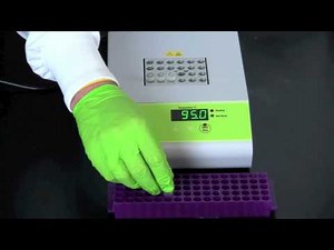 Mind Luster - Learn Alu PV92 Detection by PCR