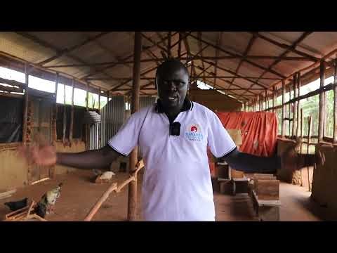 Project Update: Progress on Bananas, Poultry, Coffee, and Clinic Initiatives