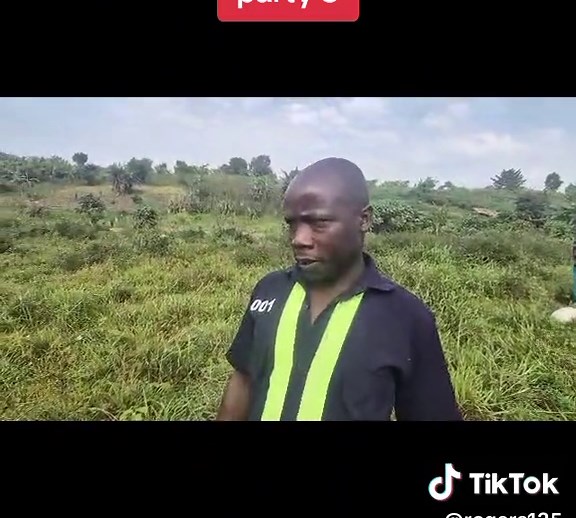 Exploring Greenland: Highlights and Party Scenes