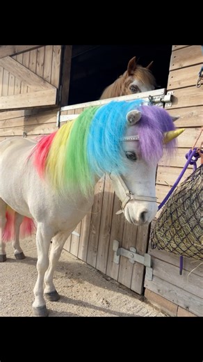 4.3K views · 117 reactions |  Henny the RAINBOW Unicorn is...