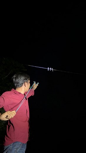 132K views · 930 reactions | Catching birds on a cable using a slingshot | Oji TV | Facebook
