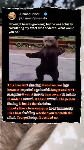 Why This "Dancing" Bear Is Actually Terrifying! 🐻 #Nature #Wildlife #Safety