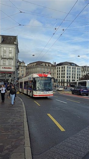 Trolleybus 1 & 8 in Luzern Schweiz🇨🇭#trolleybus #linienbus #bus #travel #city #visit #shorts #yt