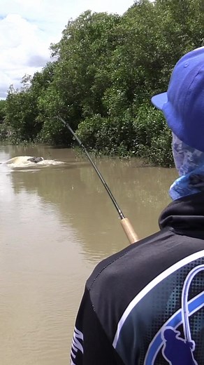 Barramundi Fishing Adventure in Australia