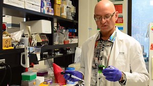 4K views · 89 reactions | Researchers at Western have developed a new rapid testing kit for E. coli - the same bacteria causing the current outbreak linked to romaine lettuce in the US and Canada. This revolution in food safety produces results faster, cheaper, easier, and more efficiently than current methods, with the goal of ensuring contaminated produce doesn't make it to your neighbourhood grocery store. | Western University | Facebook