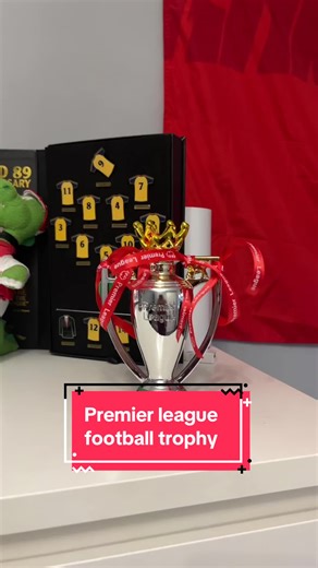 If you want a football inspired room for your child then this premier league trophy and medal rack really adds the finishing touches! Keeps all their medals organised and on show and they can lift their own premier league trophy too! #footballdecor #kidsbedroomideas #medalrack #premierleaguetrophy #tiktokmademebuyit