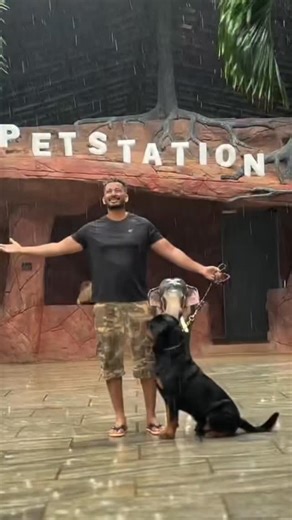 Life 🥰🥰🥰 | PET STATION