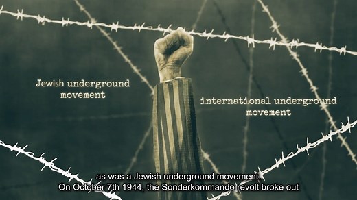 Auschwitz-Birkenau was the largest extermination center created by the Nazis. It has become the symbol of the Holocaust and of willful radical evil in our time. Later this month, on 27 January, we'll mark the liberation of Auschwitz by the Red Army in 1945. Our website offers extensive online resources related to Auschwitz, including online exhibitions, digitized artifacts from Auschwitz, photos, video testimony, and more. To mark the liberation of Auschwitz, we've compiled these various online 