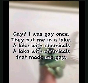 Quinn on Instagram: "It was a ✨magical lake✨ indeedy. . . . #reel #funny #lol #meme #fun #gay #humor #vine #instagood"