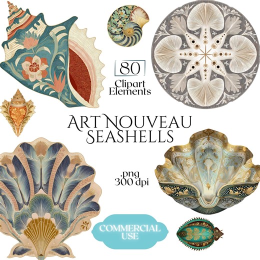 Art Nouveau Seashells Clipart, Ornamental Vintage Sea Shell PNG Graphics With Transparent Background for Branding, Decor & POD - Etsy Australia
