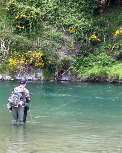 Simms Fishing Products on Reels