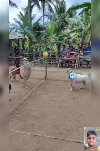 1.6K views | https://www.facebook.com/100017862153740/subscribenow | Basar Sk | Facebook