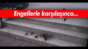 573 reactions · 198 shares | Sen ne yaparsın? ➡ Not: Artık yepyeni instagram.com/neuroformat hesabımızdan hayatlarınıza dokunmaya çalışacağız. Bu adreste bizi bulabilirsiniz. Sevgilerimizle ➡ instagram.com/neuroformat | NeuroFormat | Facebook