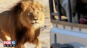 19K views · 393 reactions | Do you agree with big-game hunting? This,...