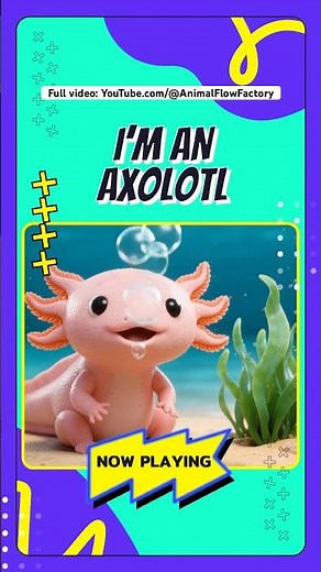 New Animated Music Video: I’m an Axolotl