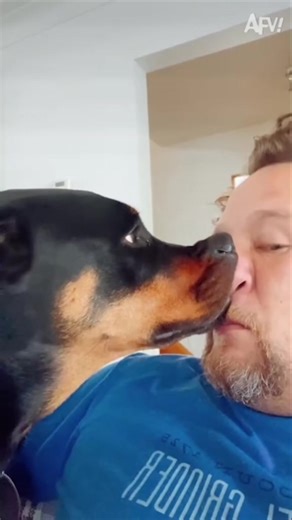 Get Ready to Laugh with AFV's Nosey Humor