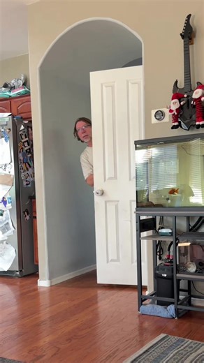 Cleaning Tips for Your Toaster: Don't Ignore the Crumbs