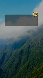 General Knowledge Quiz Game. Follow for more fun and exciting quizzes. . . #BranyMonkey #triviachallenge #quiz #quizvideos #QuizTime #TriviaTime #trivia #quizgame #didyouknowfacts #DidYouKnow #moreyouknow | Brainy Monkey