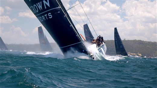 141K views · 1.8K reactions | The great race south is underway!...