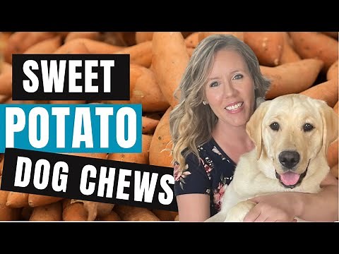 How to Make Nutritious Dog Chews With ONLY One Ingredient | Sweet Potatoes