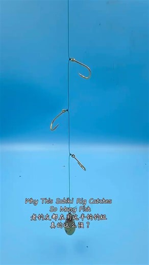 Why This Sabiki Rig Catches So Many Fish #fishing #fishingtips #diy #钓鱼