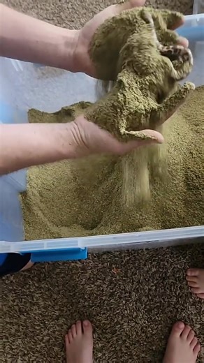 Finding the Elusive Kenyan Sand Boa | Reptile Discovery