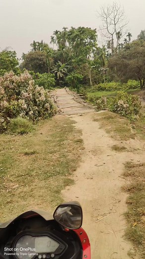 Dinwisw ❤️ | Tar Gojo