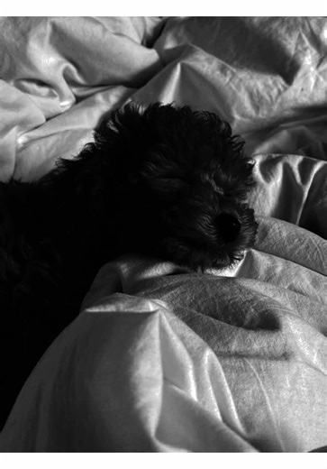 Empowering Women's Rights Through Labour Advocacy