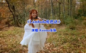 风靡全球的舞曲《Lambada伦巴达》熟悉的旋律，激情四射的舞曲，多少人的青春回忆-大路和远游客-英文-哔哩哔哩视频