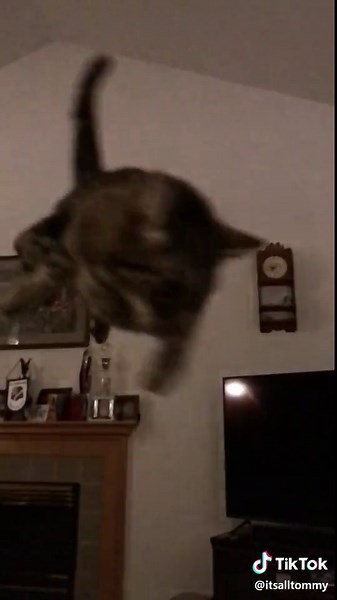 New George Lopez intro😂 #georgelopez #foryou #fyp