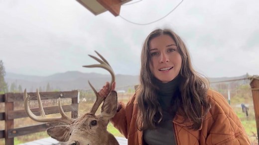 How to Clean Deer Mounts - Tips for Taxidermy Cleaning