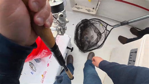 New fishing report- 5/31/25 Togs, Striper and Largemouth update just posted: https://www.goosehummockshops.com/cape-cod-fishing-reports | Goose Hummock | Facebook