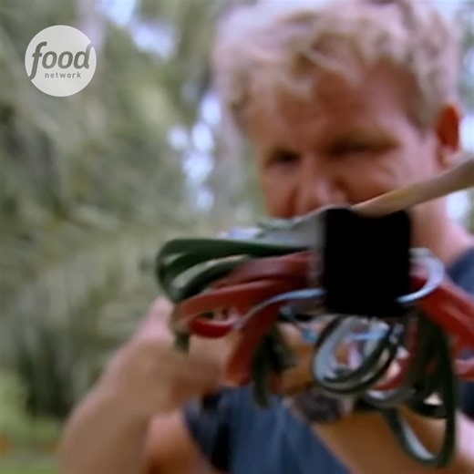 23K views · 463 reactions | Gordon Ramsay dives into Thai cuisine by catching his own oysters to make a Seafood Soup! 寧 #GordonsGreatEscape | Food Network UK | Facebook