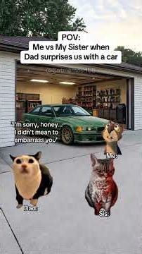 CAT MEMES 🐱Me vs my sister when dad surprises us with a car #catmemes #relatable #relationship