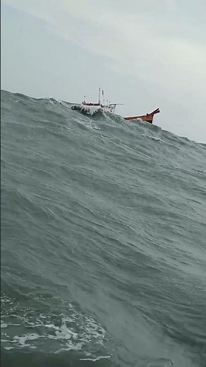 latest match fishing videos 2024
