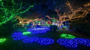 Holiday Spectacular: Houston Zoo Lights now open for view