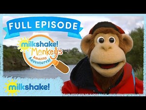 Milkshake! Monkey's Amazing Adventures! | EP 21 Rivers and Streams