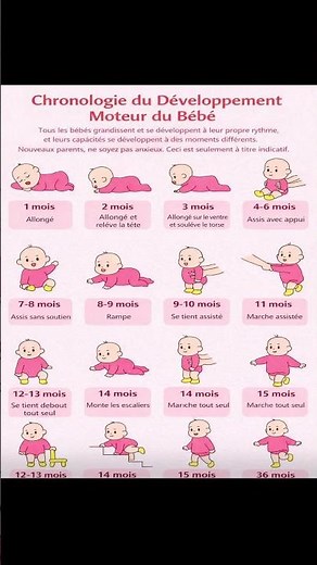 Chronologie du développement de Bébé