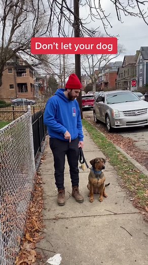 doggy details #YouShouldKnow #DogTrainer #DogTraining #Hound #Rescue #RescueDog #Hound #HoundDog #DogWalk #DogTok #ForYou #FYP #dogtips #dogadvice ￼￼￼