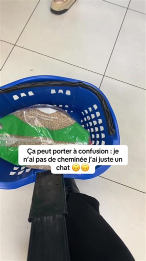 Conseils pour les amoureux des chats