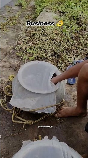 Fish Business 💸👀 !!#viral #shortfeed #fish #ytshorts #viral