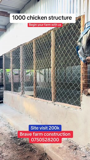Affordable Animal Structures for Your Farm