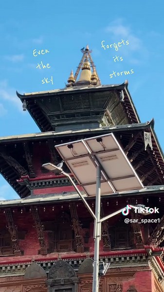 Exploring Memory and Forgetting in Nature's Embrace