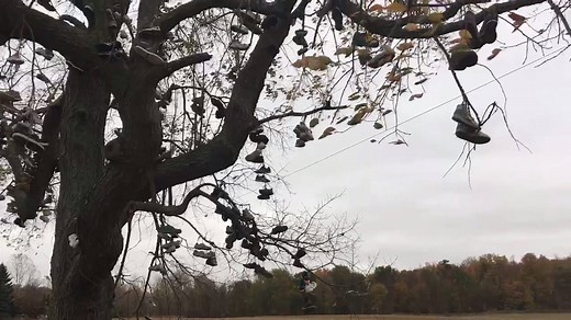 42K views · 189 reactions | MLive.com on Reels | Facebook