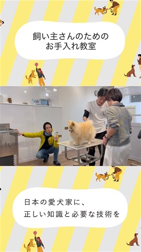 【飼い主さんのためのお手入れ教室】ポメラニアンの詣ちゃん｜足先カットで学ぶ犬種ごとの違い