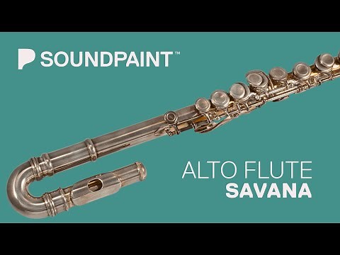 Soundpaint - 1987 Alto Flute Savana w/ H.A.L Technology